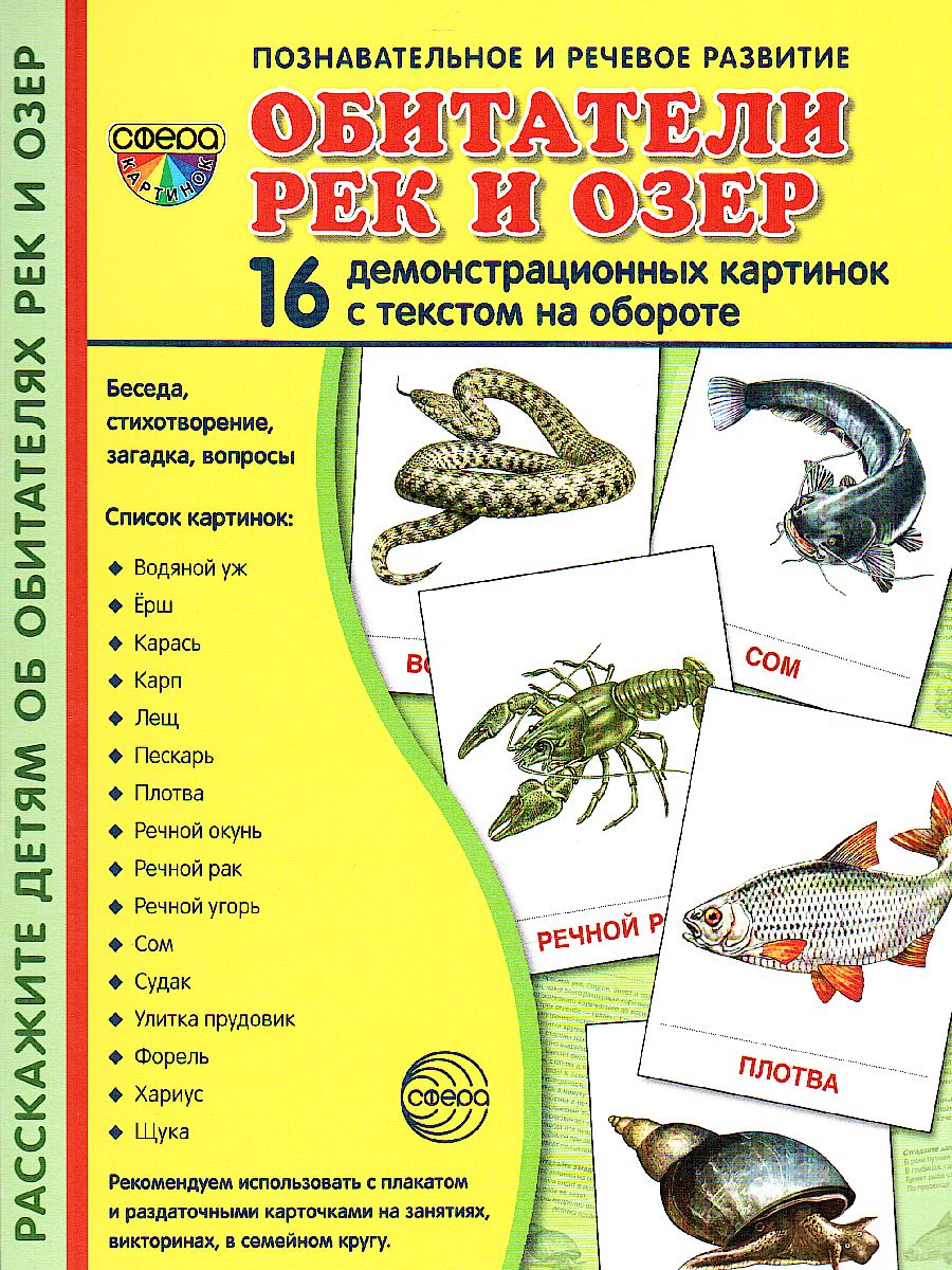 Обложка книги Демонстрационные картинки СУПЕР Обитатели рек и озер. 16 раздаточных карточек с текстом (173*220 мм), Автор , издательство Сфера | купить в книжном магазине Рослит