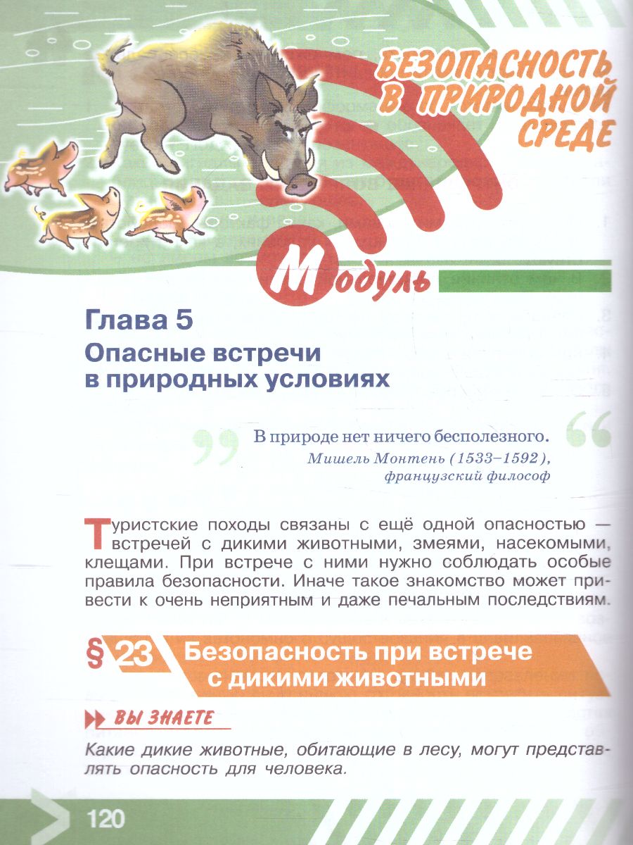 Обложка книги Основы безопасности жизнедеятельности 6 класс. Учебник (ФП2022), Автор Хренников Б.О. Гололобов Н. В. Льняная Л.М., издательство Просвещение | купить в книжном магазине Рослит