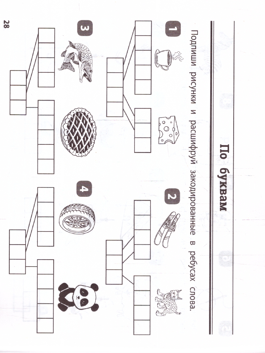 Обложка книги Русский язык 2-3 класс. Умные ребусы для начальной школы, Автор Зеленко С. В., издательство Феникс ТД                                          | купить в книжном магазине Рослит