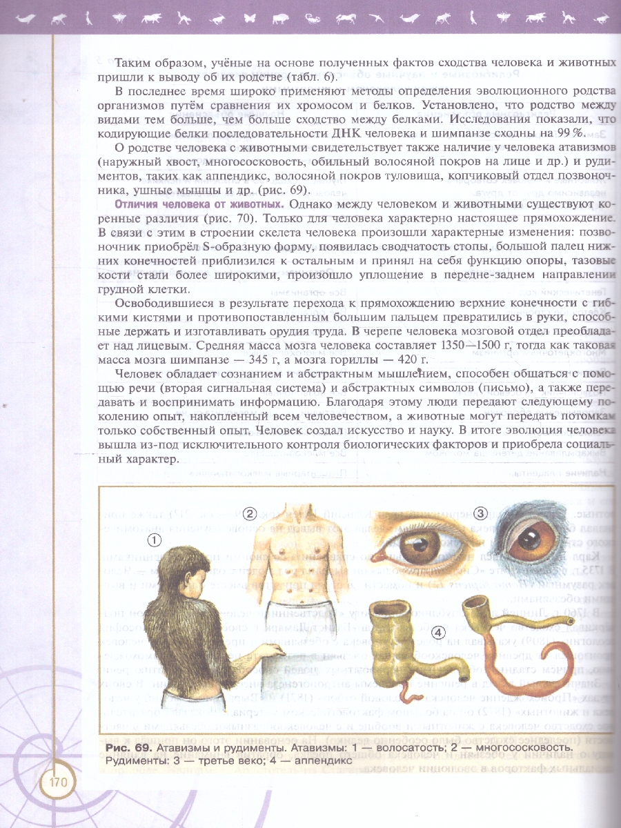 Обложка книги Биология 11 класс. Углубленный уровень. Учебное пособие. ФГОС, Автор Пасечник В. В.; Каменский А. А.; Рубцов А. М., издательство Просвещение | купить в книжном магазине Рослит