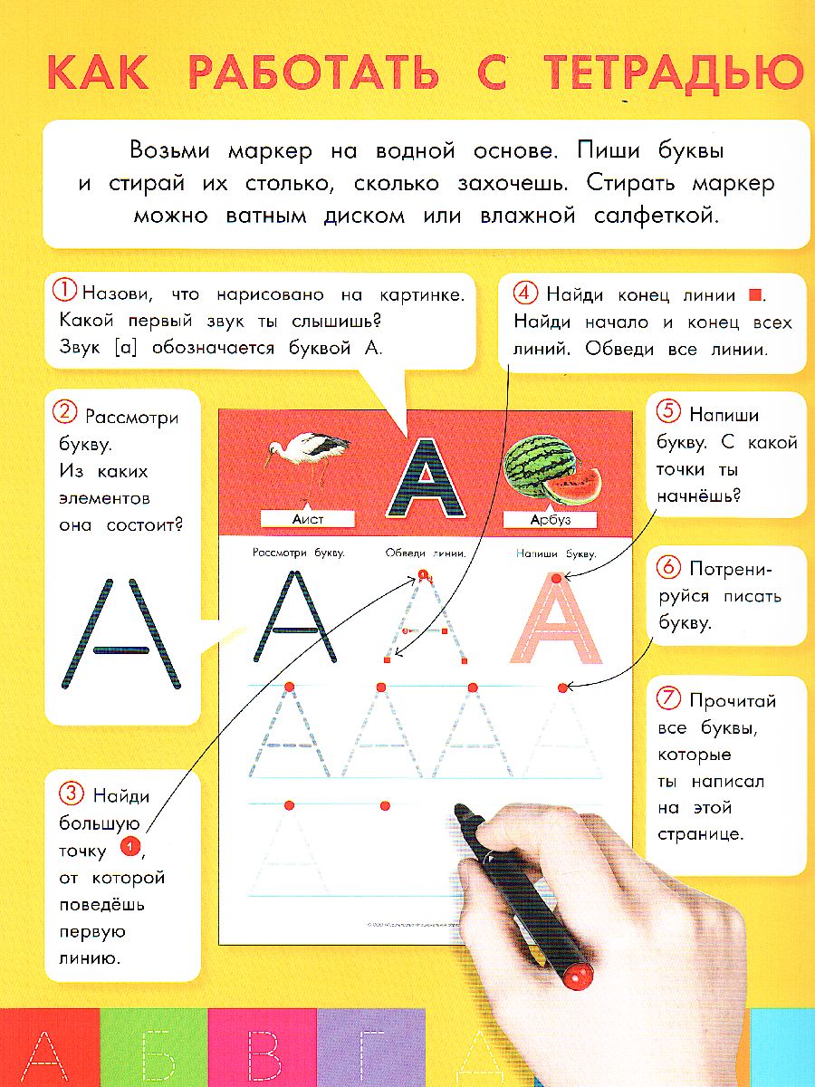 Обложка книги Буквы: пиши и стирай: тетрадь для письма маркером для детей 4-7 лет, Автор Вершинина Е.А., издательство Национальное образование | купить в книжном магазине Рослит