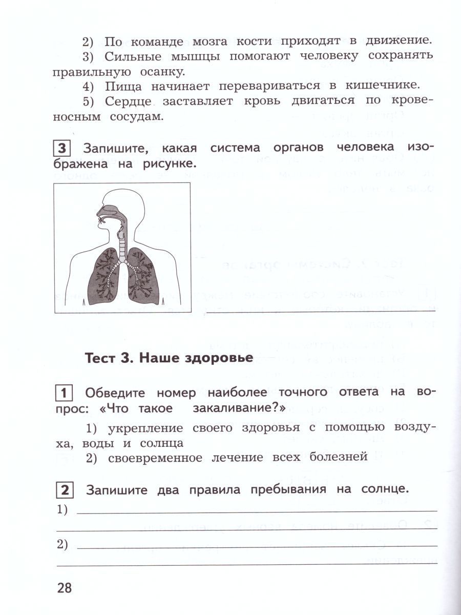 Обложка книги Окружающий мир 3 класс. Предварительный, текущий, итоговый контроль, Автор Глаголева Ю.И. Архипова Ю.И., издательство Просвещение/Союз                                   | купить в книжном магазине Рослит
