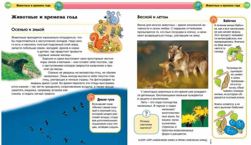 Обложка Современная детская энциклопедия, издательство Махаон | купить в книжном магазине Рослит