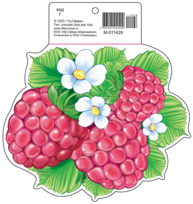 Обложка книги Вырубная фигурка Малина М-11428 (с УФ-лаком) (Сфера), Автор М-11428, издательство Сфера | купить в книжном магазине Рослит