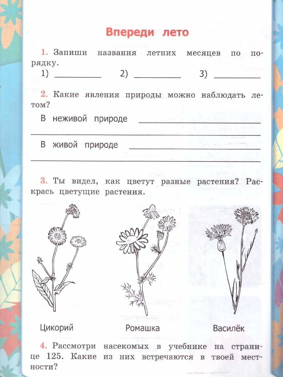 Обложка книги Окружающий мир 2 класс. Рабочая тетрадь. Часть 2. К новому учебнику. ФГОС НОВЫЙ, Автор Соколова Н.А., издательство Экзамен | купить в книжном магазине Рослит