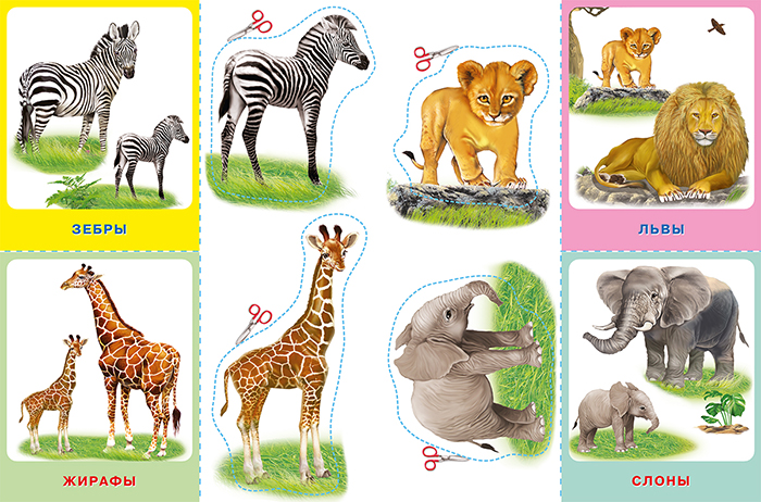 Обложка Аппликация с карточками Мама и малыши. Звери Африки(Фламинго), издательство Фламинго | купить в книжном магазине Рослит