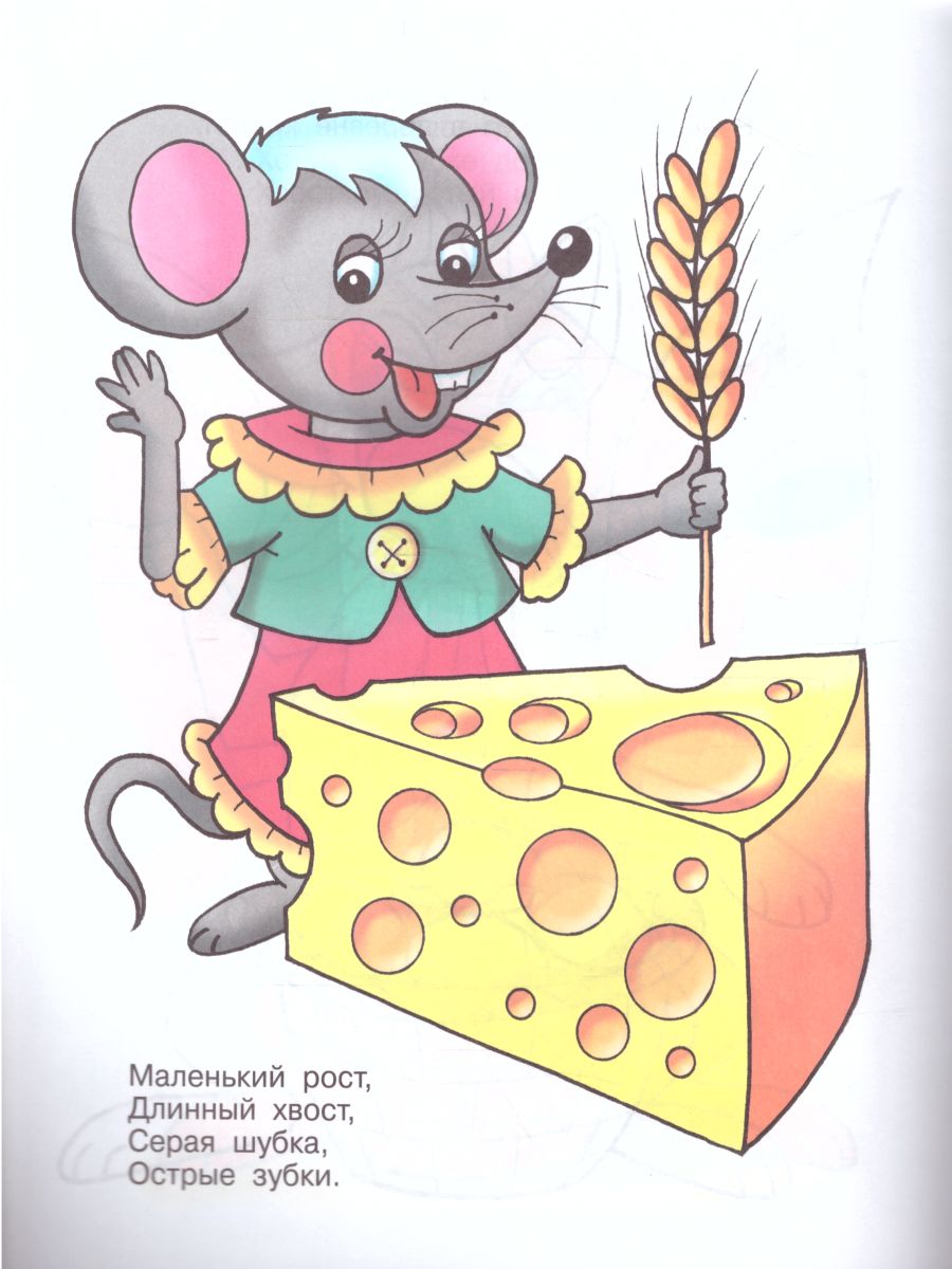 Обложка Загадки. Книжка с раскраской, издательство Самовар | купить в книжном магазине Рослит