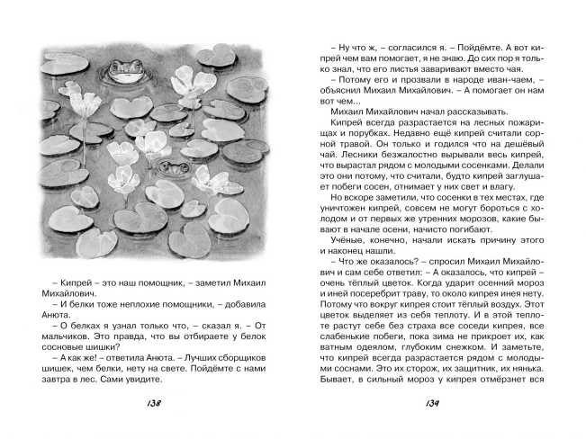 Обложка Кот-ворюга. Рассказы и сказки, издательство Махаон | купить в книжном магазине Рослит
