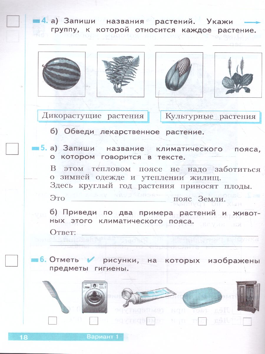 Обложка книги Ефремова Окружающий мир 2 кл. Что я знаю. Что я умею.2 полугодие.Тетрадь проверочных работ(Бином), Автор Ефремова А.Г., издательство Просвещение/Союз                                   | купить в книжном магазине Рослит
