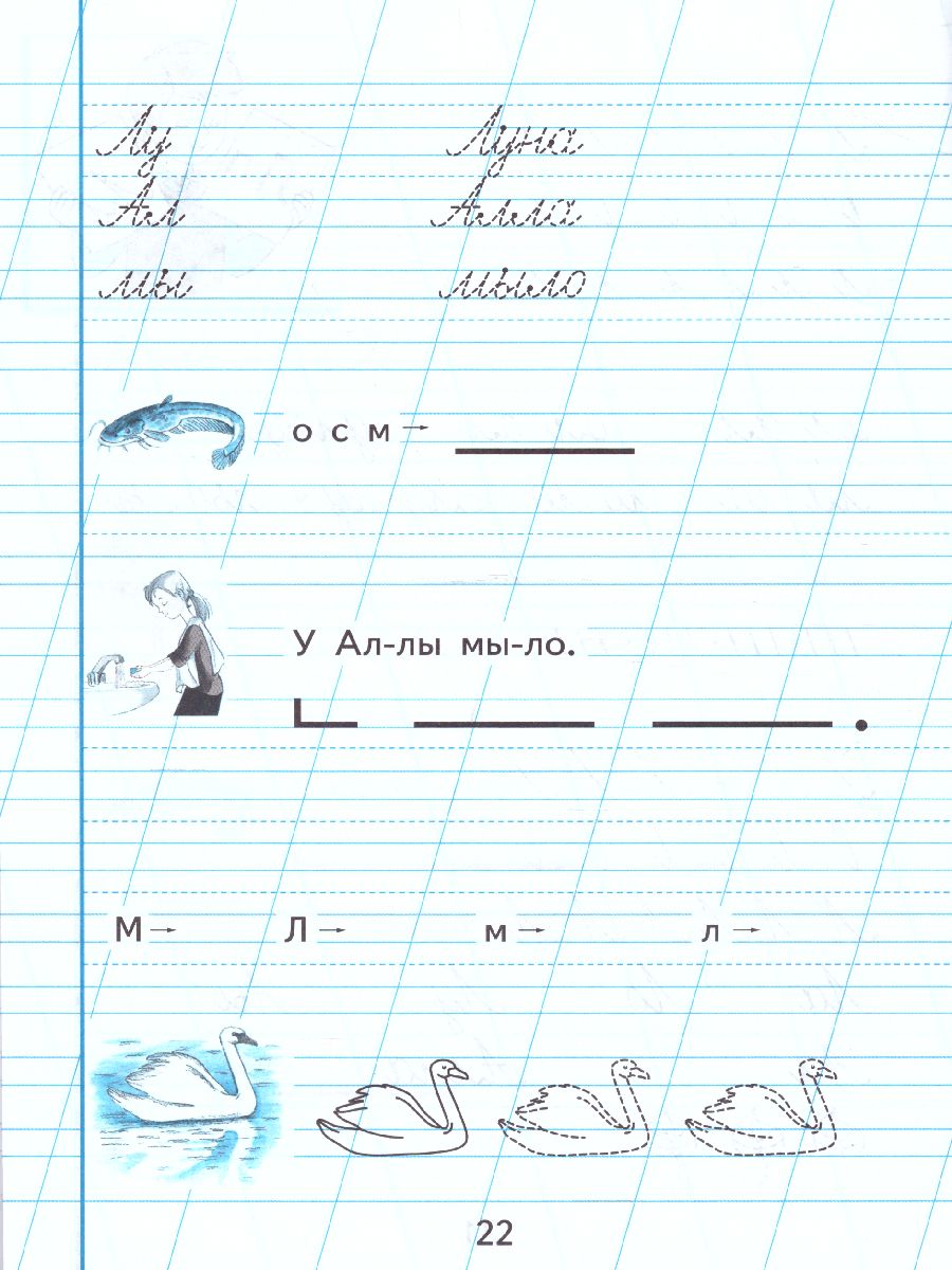 Обложка книги Пропись. Для 1 класса специальных (коррекционных) образовательных учреждений VIII вида. В 3-х частях. Часть 1. Пропись №1, Автор Аксёнова А.К. Комарова С.В. Шишкова М.И., издательство Просвещение | купить в книжном магазине Рослит