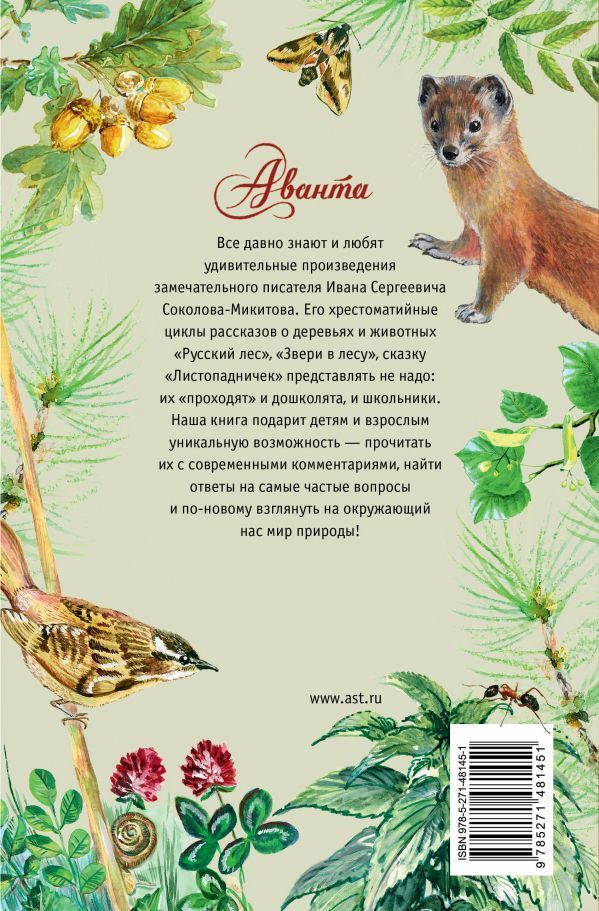 Обложка Русский лес. Лучшие рассказы о живой природе с вопросами и ответами для почемучек, издательство АСТ | купить в книжном магазине Рослит