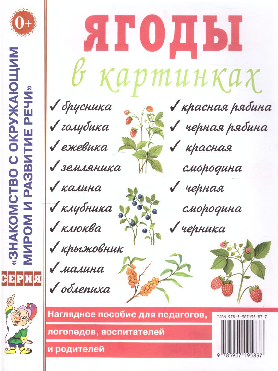 Обложка книги Ягоды в картинках. Наглядное пособие для педагогов, воспитателей, логопедов, родителей, Автор Шорыгина Т.А., издательство ГНОМ | купить в книжном магазине Рослит