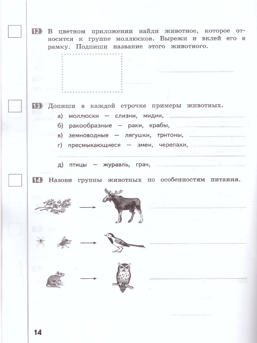Обложка книги Окружающий мир 3 класс. Промежуточные и Итоговые тесты. Подготовка к аттестации, Автор Аквилева Г.Н. Смирнова Т.М., издательство МТО инфо | купить в книжном магазине Рослит