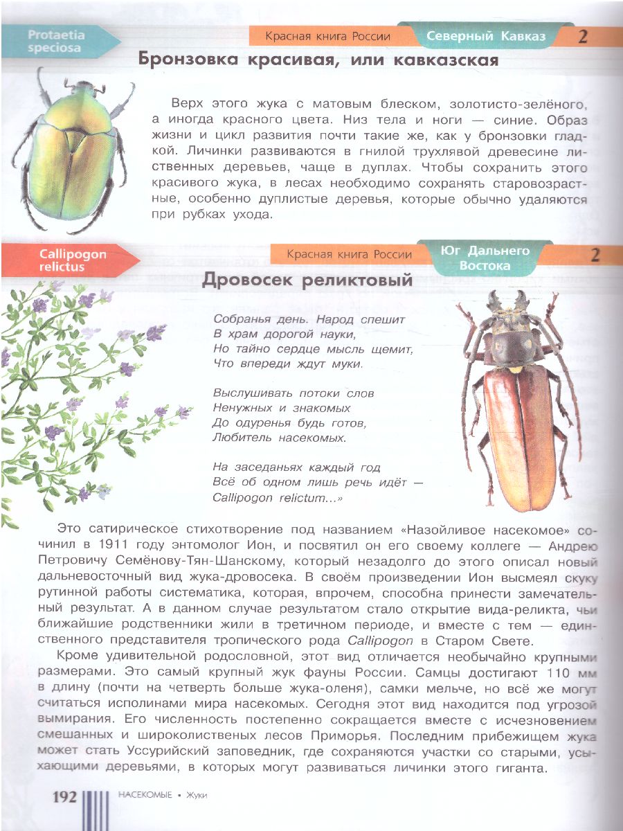 Обложка Красная книга России, издательство АСТ | купить в книжном магазине Рослит