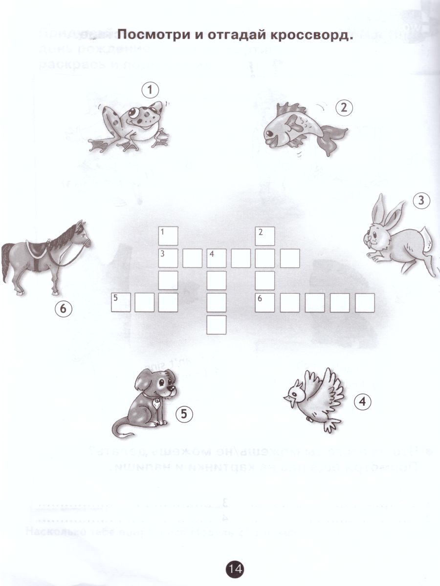 Обложка книги Английский в фокусе 2 класс. Spotlight. Языковой портфель. (ФП2022) ФГОС, Автор Быкова Н.И. Дули Д. Поспелова М.Д., издательство Просвещение | купить в книжном магазине Рослит