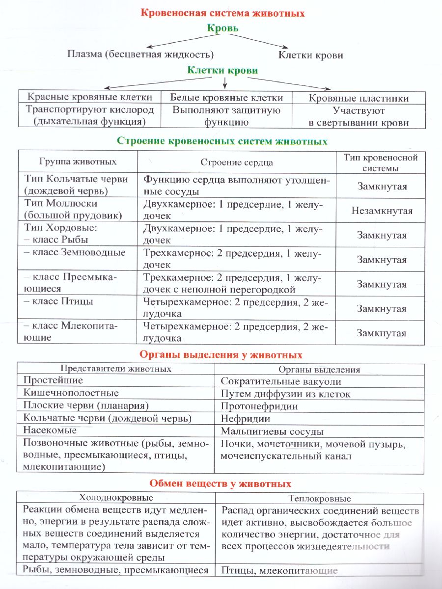 Обложка книги Биология 5-7 класс Комплект карт для подготовки к контрольным работам, экзаменам, Автор НБУ-18, издательство Учитель | купить в книжном магазине Рослит