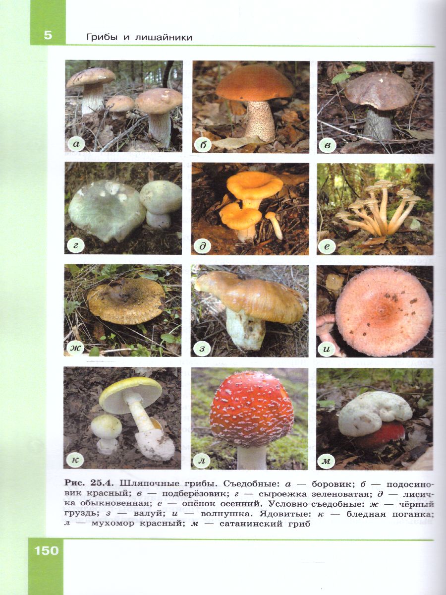 Обложка книги Биология 7 класс. Учебник, Автор Теремов А.В. Перелович Н.В., издательство Просвещение/Союз                                   | купить в книжном магазине Рослит