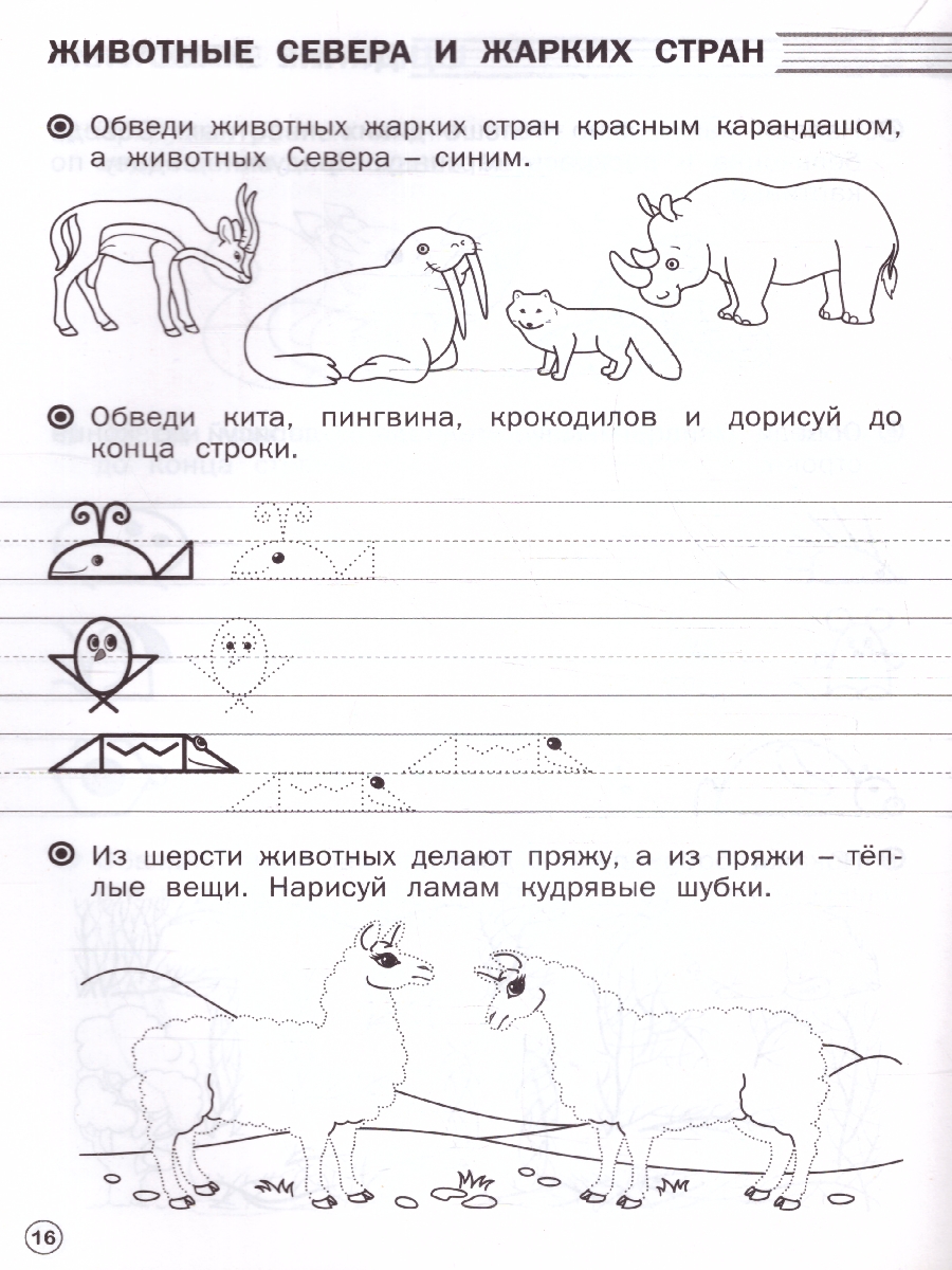 Обложка книги По дороге в школу. Прописи. Развиваем моторику руки 5-6 лет, Автор Чиркова С. В., издательство Вако | купить в книжном магазине Рослит