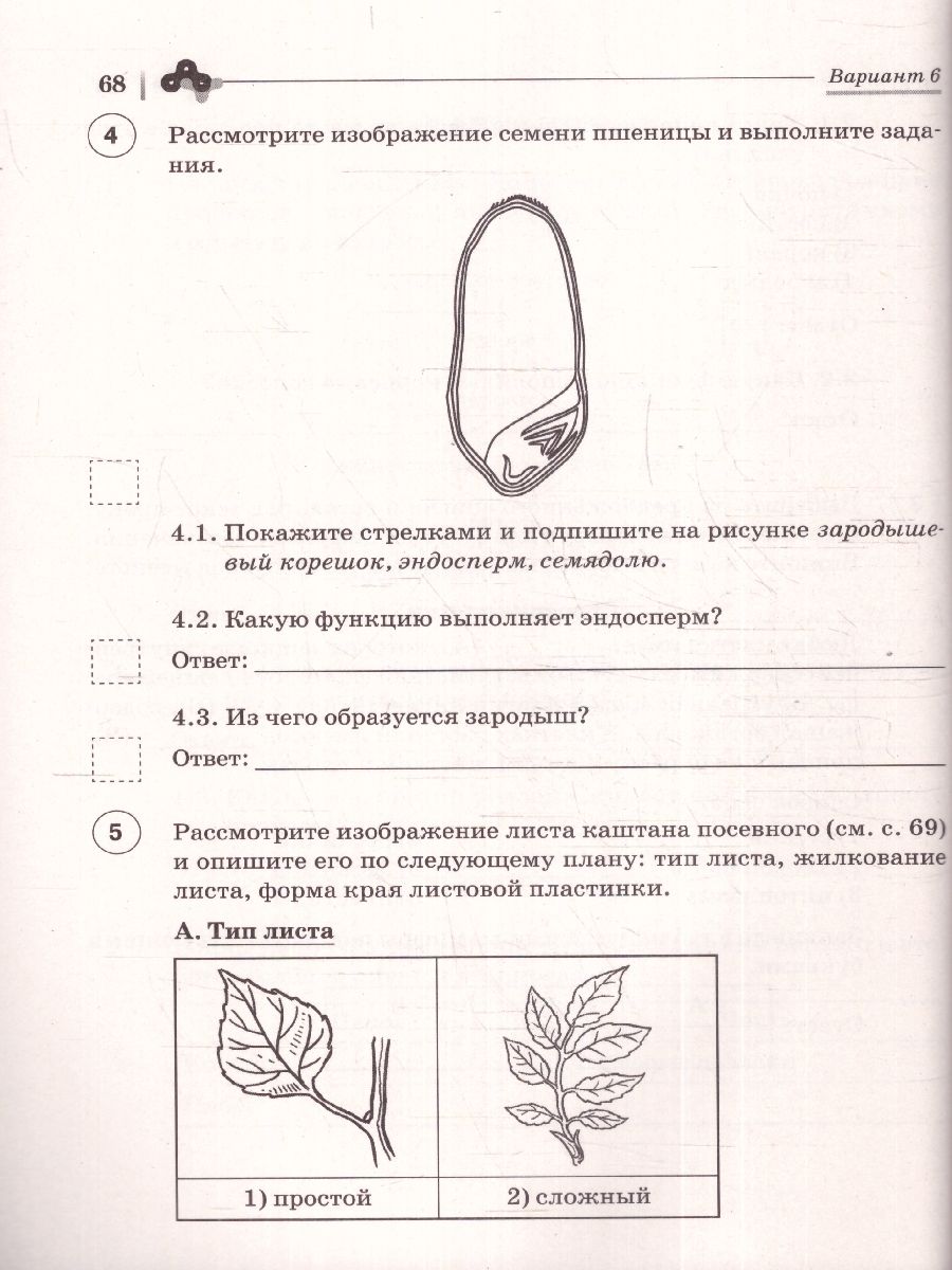 Обложка книги ВПР Биология 6 класс. 10 тренировочных вариантов, Автор Кириленко А. А., издательство ЛЕГИОН | купить в книжном магазине Рослит