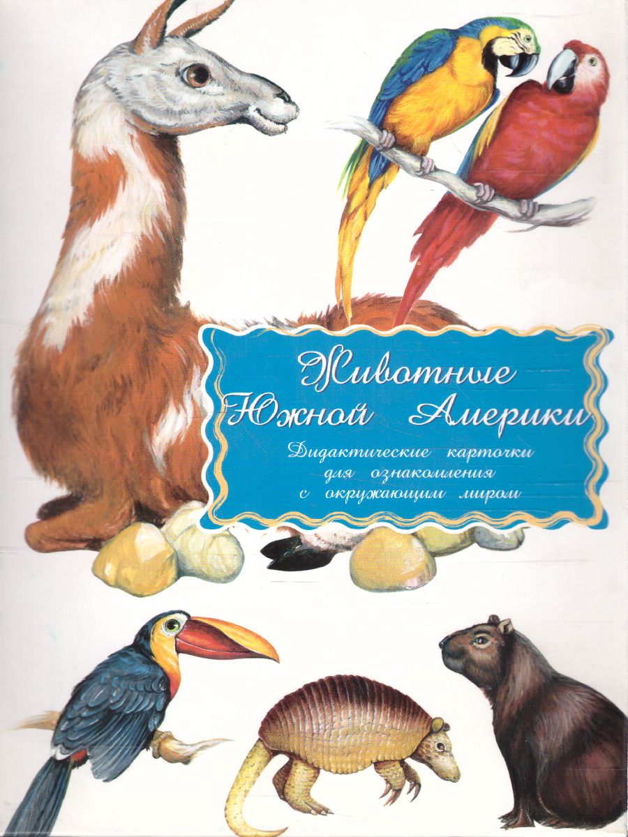 Обложка книги Дидактические карточки "Животные Южной Америки", Автор , издательство Маленький гений-Пресс | купить в книжном магазине Рослит