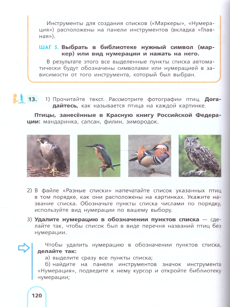 Обложка книги Алышева Информатика. 8 класс (для обучающихся с интеллектуальными нарушениями). Учебное пособие(Прос, Автор Алышева Т. В. Лабутин В. Б. Лабутина В. А., издательство Просвещение | купить в книжном магазине Рослит