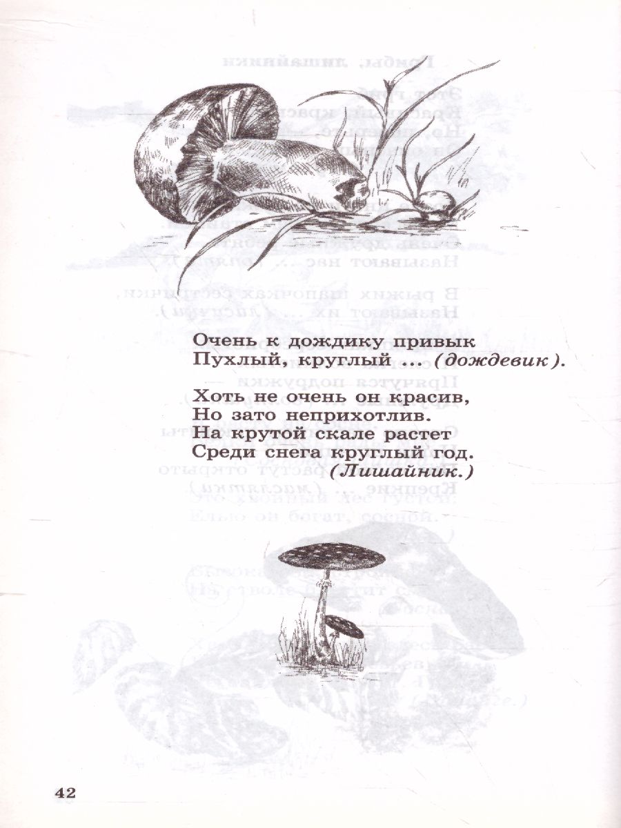 Обложка книги 500 загадок считалок для детей, Автор Шорыгина Т.А., издательство Сфера | купить в книжном магазине Рослит