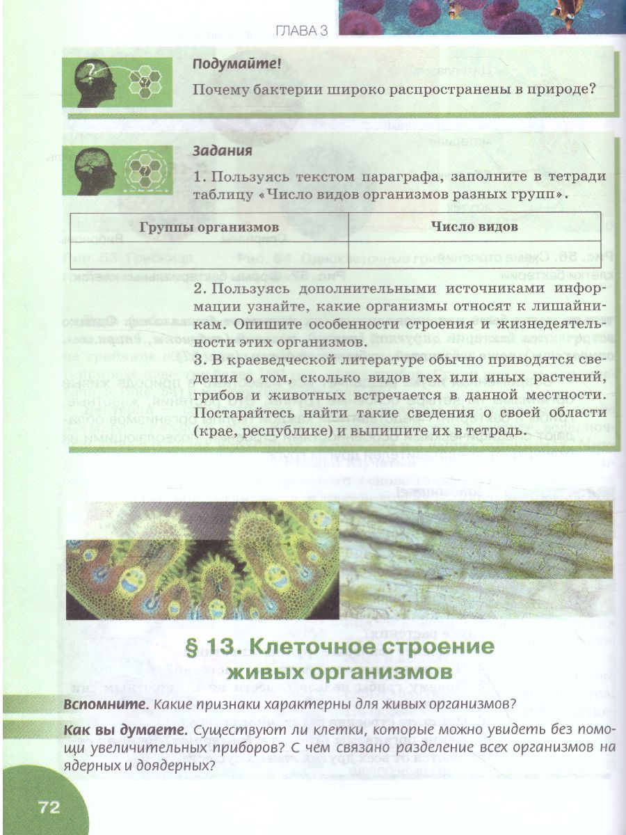 Обложка книги Биология 5 класс. Учебник, Автор Баландин С.А. Ульянова Т.Ю. Романова Н.И. Михай, издательство Русское слово | купить в книжном магазине Рослит