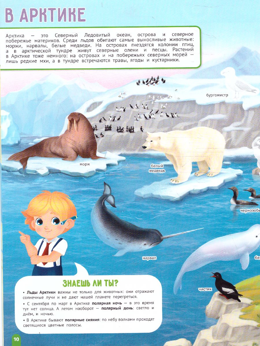 Обложка Атлас России с наклейками. Моя большая страна, издательство ГЕОДОМ | купить в книжном магазине Рослит