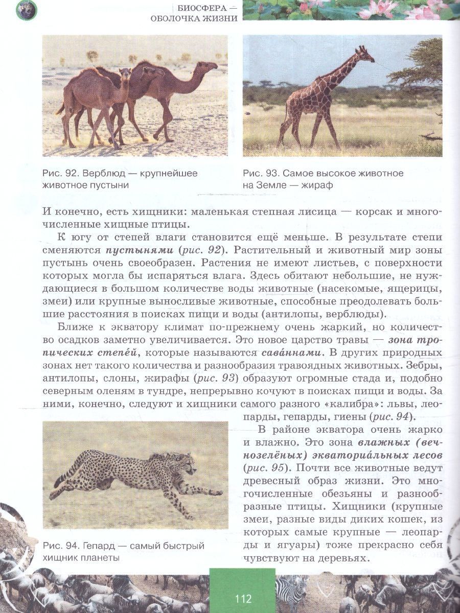 Обложка книги География  6 класс. Учебное пособие, Автор Домогацких Е.М. Алексеевский Н.И., издательство Русское слово | купить в книжном магазине Рослит