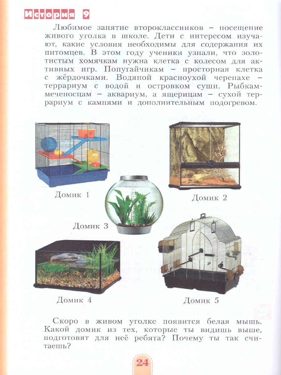 Обложка книги Учимся учиться и действовать 2 класс. Рабочая тетрадь в 2-х частях. Часть 2. ФГОС, Автор Меркулова Т.В. Теплицкая А.Г. Беглова Т.В., издательство Просвещение/Союз                                   | купить в книжном магазине Рослит