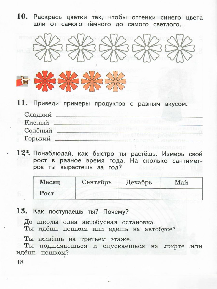 Обложка книги Окружающий мир 2 класс. Рабочая тетрадь. Комплект из 2-х рабочих тетрадей. Часть 1. ФГОС, Автор Виноградова Н.Ф., издательство Просвещение | купить в книжном магазине Рослит