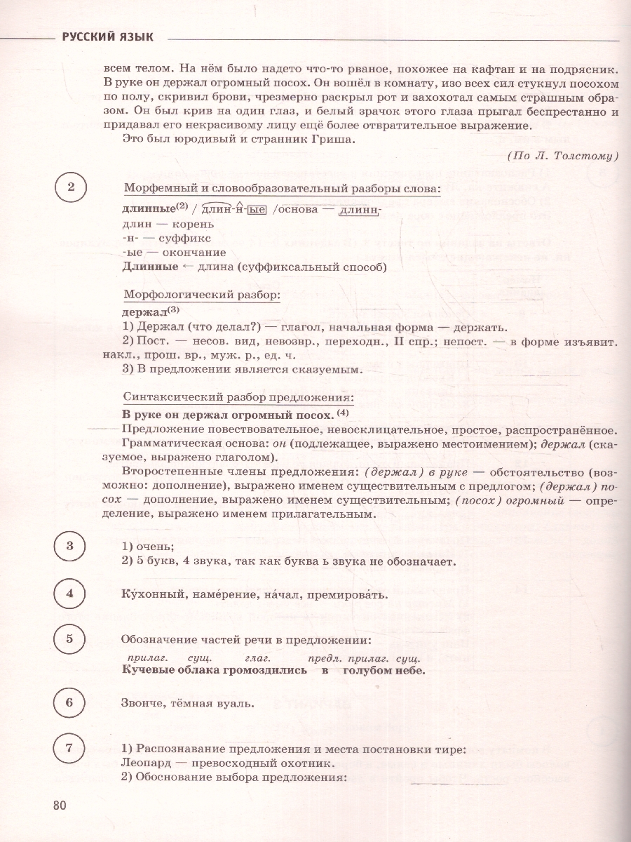 Обложка книги Русский язык 6 класс. Большой сборник тренировочных вариантов проверочных работ для подготовки к ВПР, Автор Текучева И.В., издательство АСТ | купить в книжном магазине Рослит