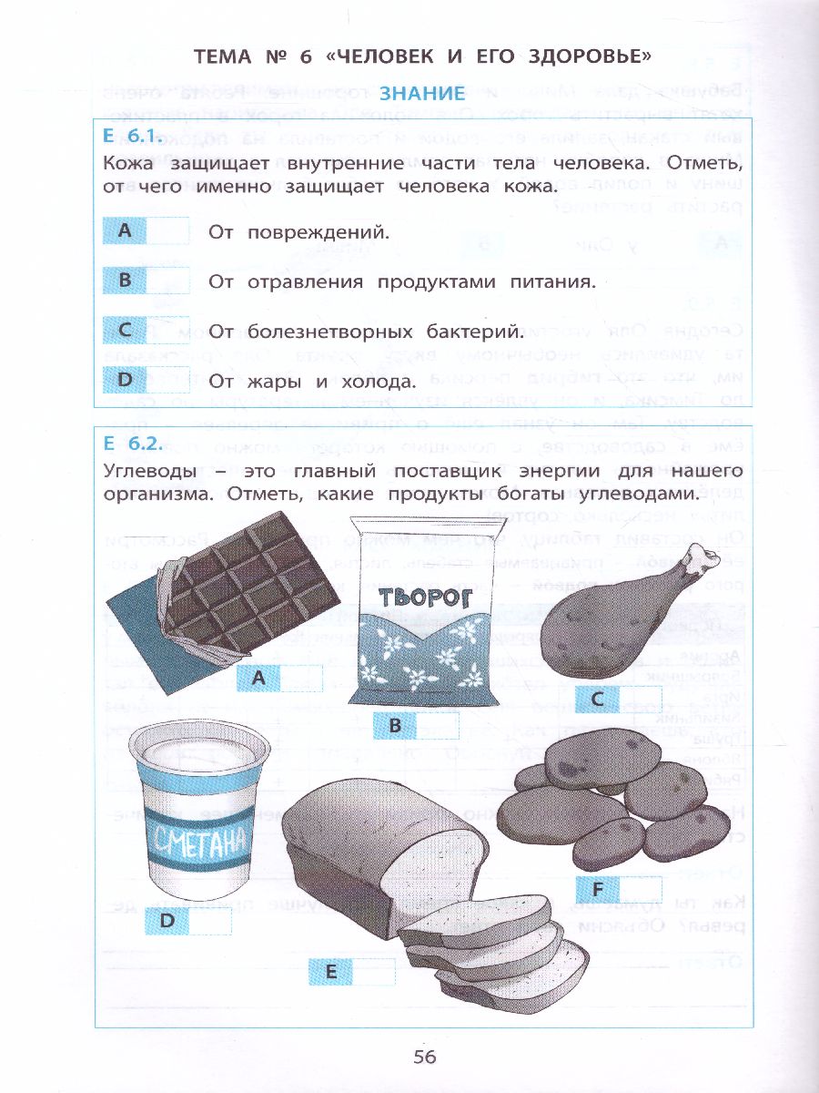 Обложка книги Тимсик и его друзья. 3 класс. Тренировочные задания по математике и естествознанию, Автор Клементьева О.П., издательство Издательство Интеллект-центр | купить в книжном магазине Рослит
