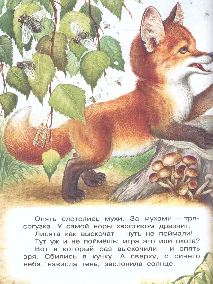 Обложка книги Сладков Лесные сказки, Автор Сладков Н.И., издательство АСТ | купить в книжном магазине Рослит