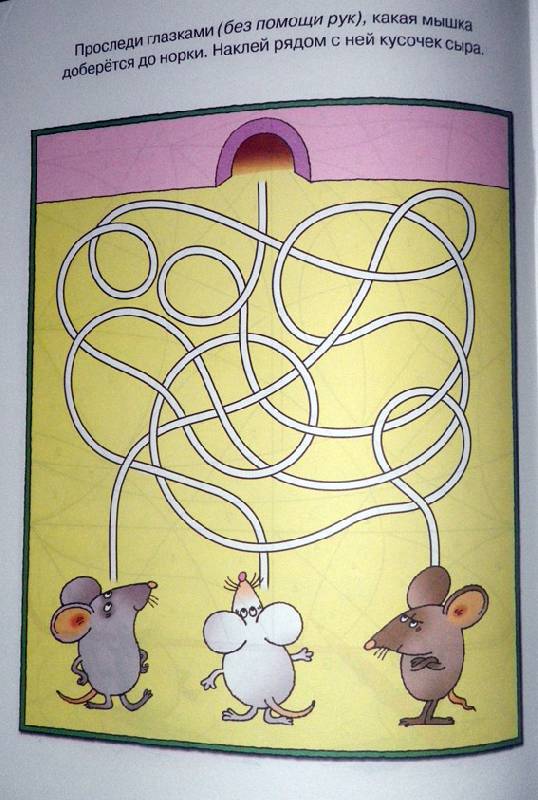 Обложка Развиваем внимание (5-6 лет) / Дошкольная мозаика, издательство Махаон | купить в книжном магазине Рослит