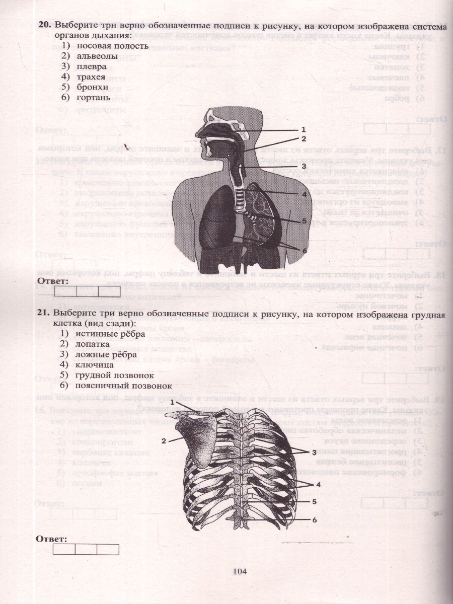 Обложка книги ЕГЭ 2026 Биология. Готовимся к итоговой аттестации, Автор Скворцова Я. В., издательство Издательство Интеллект-центр | купить в книжном магазине Рослит