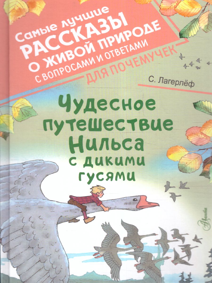 Обложка Чудесное путешествие Нильса с дикими гусями /СамЛучРассказы, издательство АСТ | купить в книжном магазине Рослит