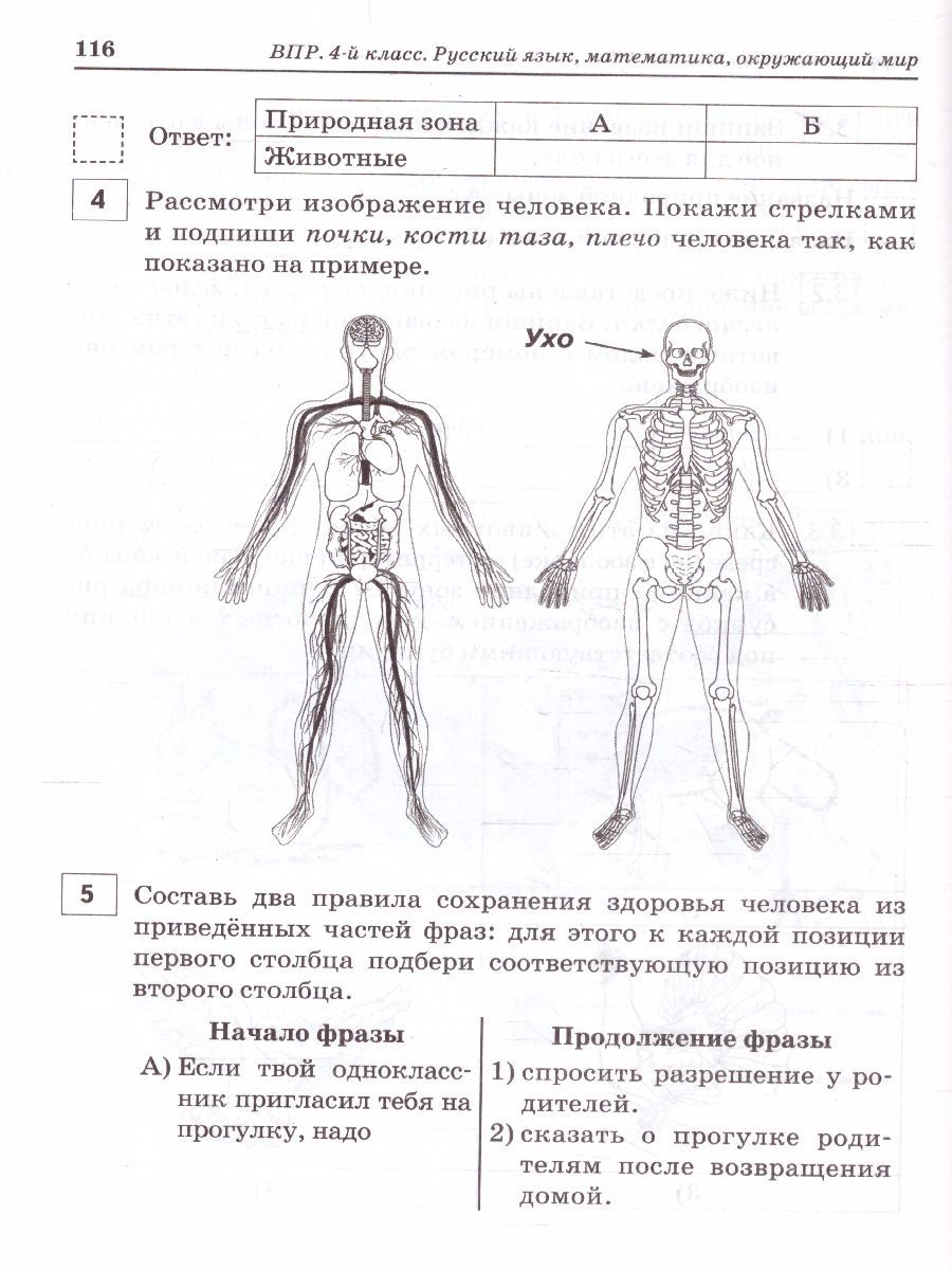 Обложка книги ВПР-2023. Русский язык, математика, окружающий мир 4 класс. 15 тренировочных вариантов, Автор Ольховая Л.С. Сухаревская Е.Ю. Федотенко С.В., издательство ЛЕГИОН | купить в книжном магазине Рослит