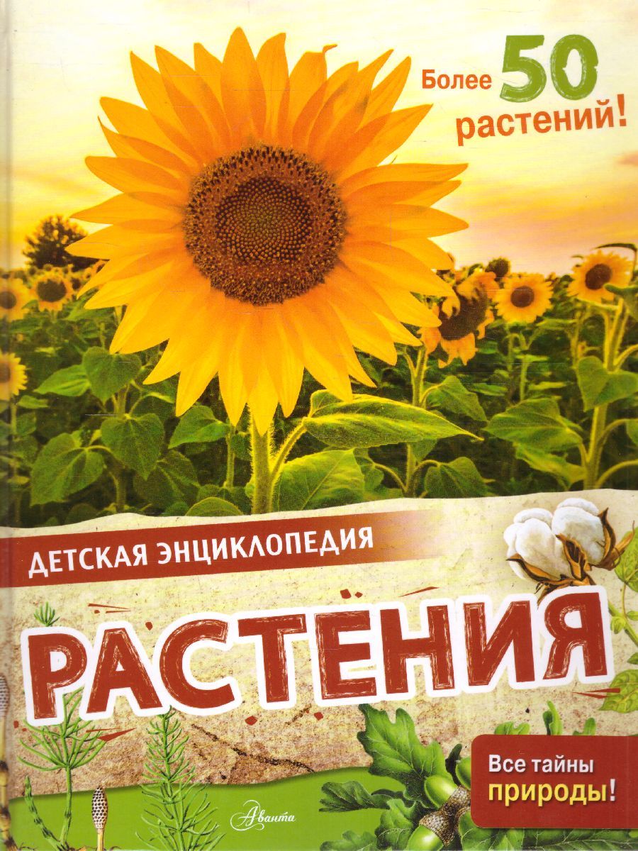 Обложка Растения /ДетЭнц (best), издательство АСТ | купить в книжном магазине Рослит