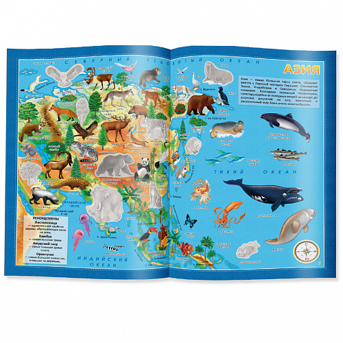 Обложка Подарок для любознательных Новогодний. Животный мир Земли. Атлас с наклейками, Игра-ходилка, издательство ГЕОДОМ | купить в книжном магазине Рослит