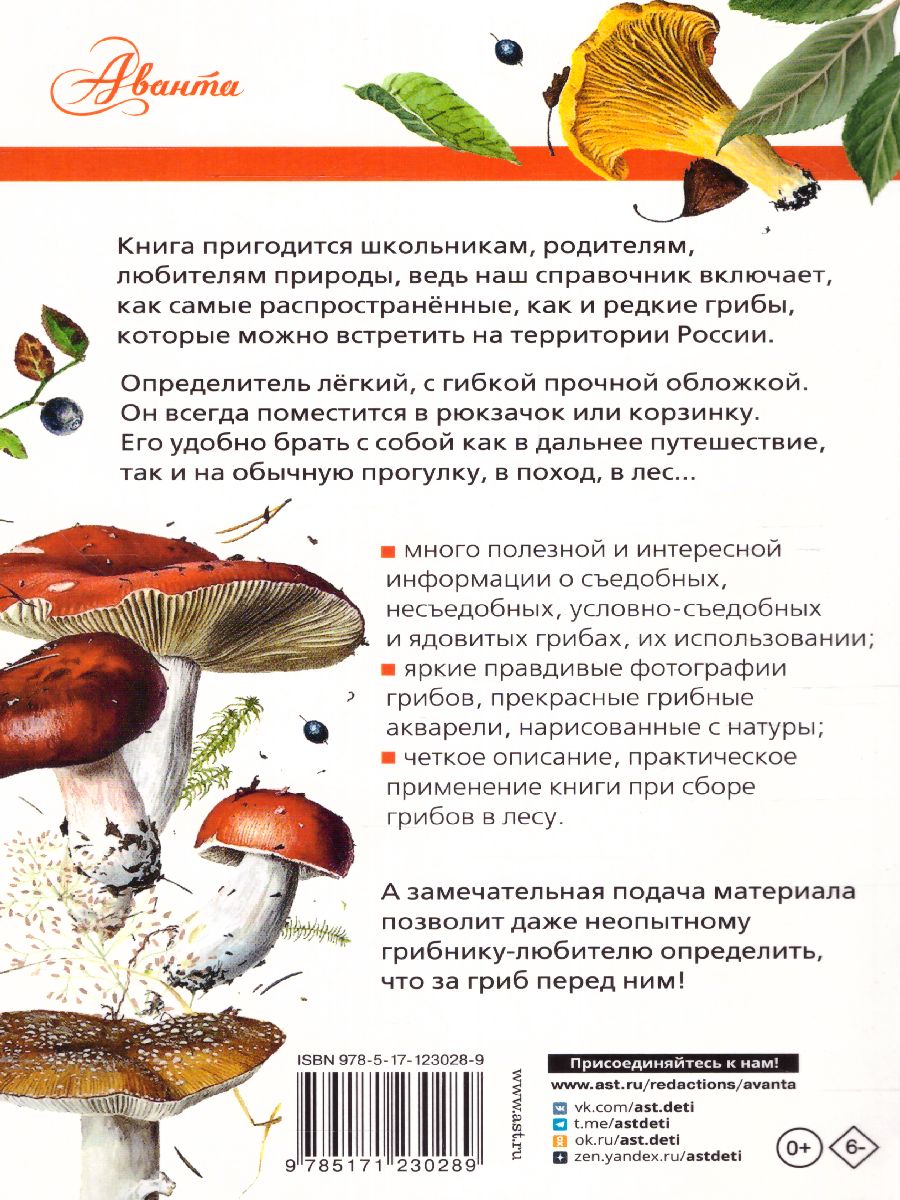 Обложка книги Грибы России. Определитель. Кривошеев С.В. /ЛучшийОпределитель, Автор Кривошеев С.В., издательство АСТ | купить в книжном магазине Рослит