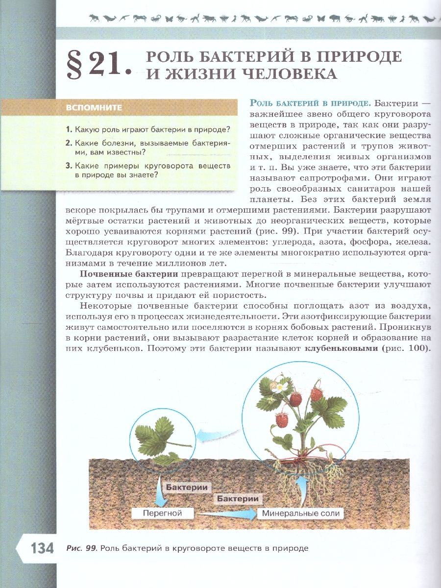 Обложка книги Биология 7 класс. Базовый уровень. Учебник. УМК "Линия жизни" (ФП2022), Автор Пасечник В.В. Суматохин С.В. Гапонюк З.Г., издательство Просвещение | купить в книжном магазине Рослит