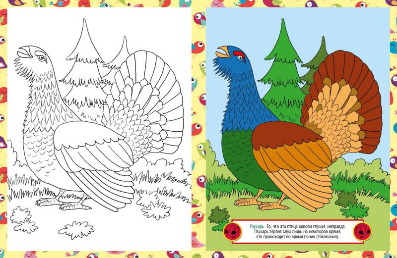 Обложка книги Раскраска детская. Птицы, Автор , издательство РУЗ Ко | купить в книжном магазине Рослит