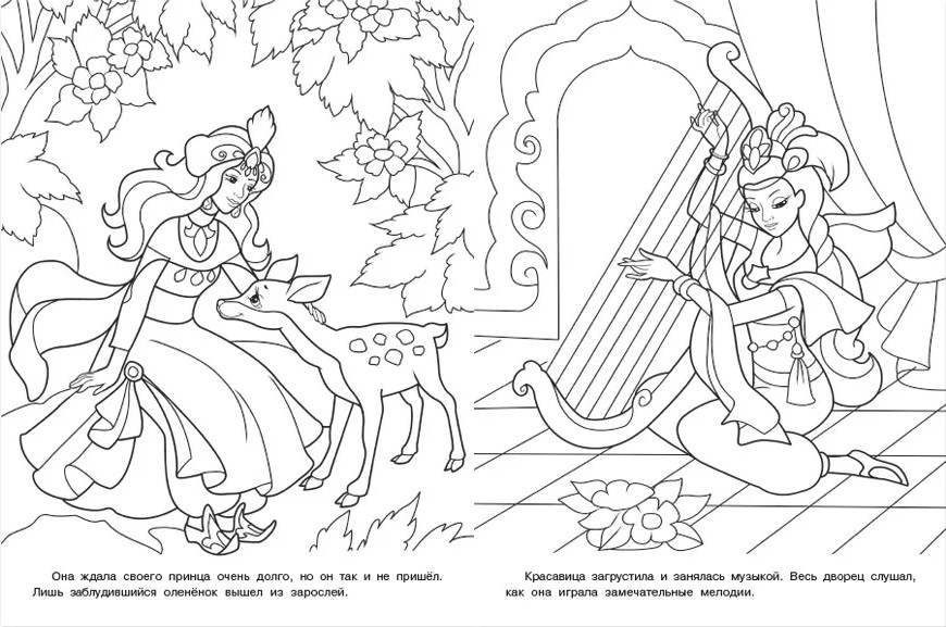 Обложка Раскраска. Красавицы и принцессы Восточная красавица, издательство Фламинго | купить в книжном магазине Рослит