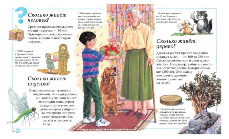 Обложка Отчего и почему?, издательство Махаон | купить в книжном магазине Рослит