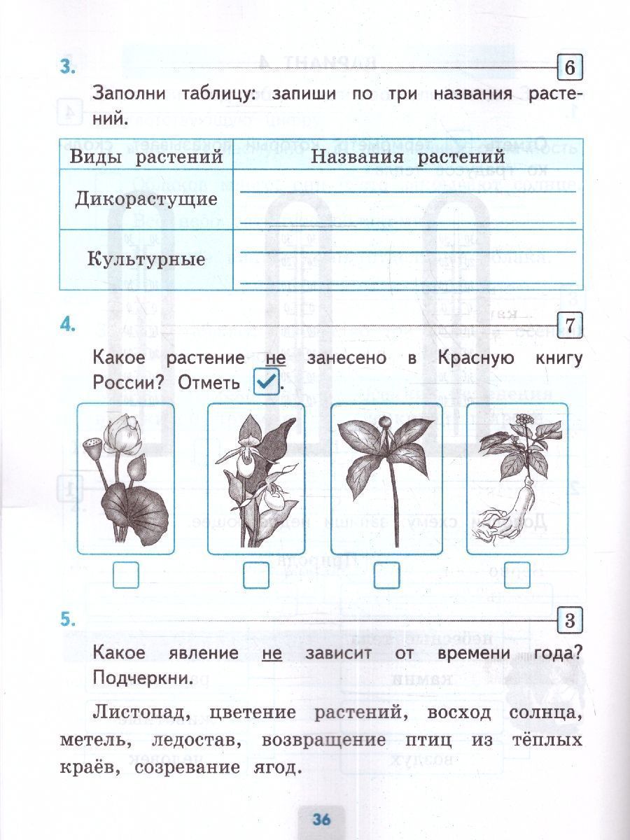 Обложка книги Окружающий мир 2 класс. Проверочные работы (к новому ФПУ). ФГОС, Автор Погорелова Н.Ю., издательство Экзамен | купить в книжном магазине Рослит