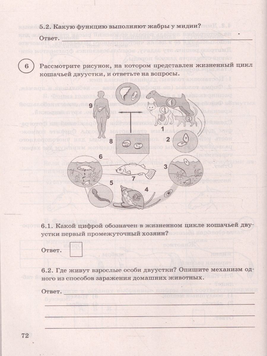 картинка ВПР Биология 8 класс 15 вариантов. Типовые задания. ФГОС от магазина Рослит