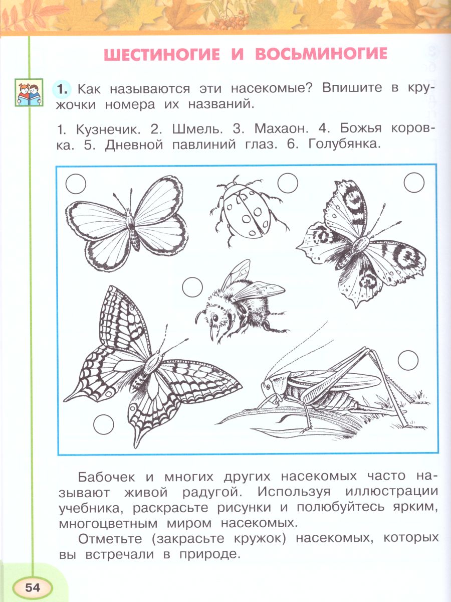 Обложка книги Окружающий мир 2 класс. Рабочая тетрадь в 2-х частях. Часть 1, Автор Плешаков А.А. Новицкая М.Ю., издательство Просвещение | купить в книжном магазине Рослит