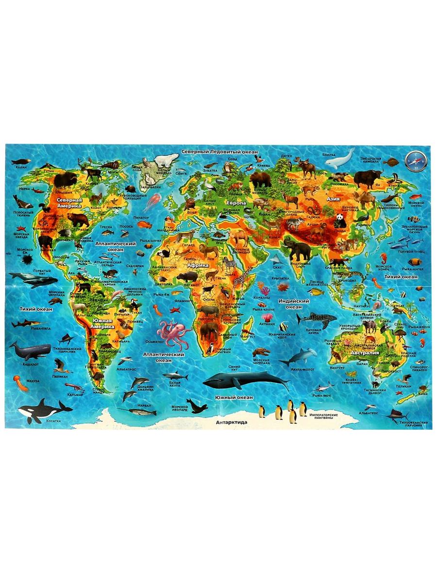 Обложка Викторина в картинках. Животные мира., издательство Умные игры                                         | купить в книжном магазине Рослит