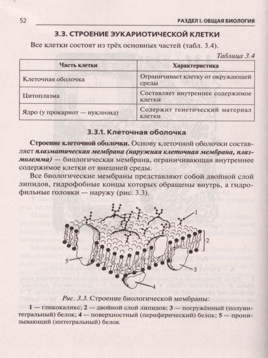 Обложка книги ЕГЭ и ОГЭ-2024. Биология 9-11 класс. Большой справочник, Автор Колесников С.И., издательство ЛЕГИОН | купить в книжном магазине Рослит